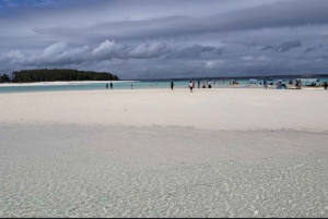 FROM NUNGWI; MNEMBA SNORKELING AND DOLPHIN TOUR