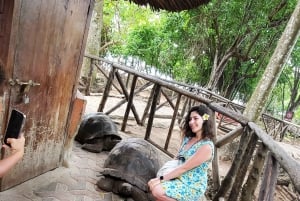 Fra Nungwi: Prison Island & Nakupenda Sandbank Escape