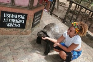 Fra Nungwi: Prison Island & Nakupenda Sandbank Escape