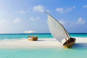 From Zanzibar: Prison Island and Nakupenda Sandbank Tour