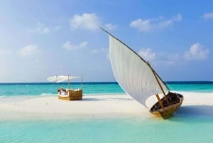 Depuis Nungwi : Île-prison et banc de sable de Nakupenda avec déjeuner