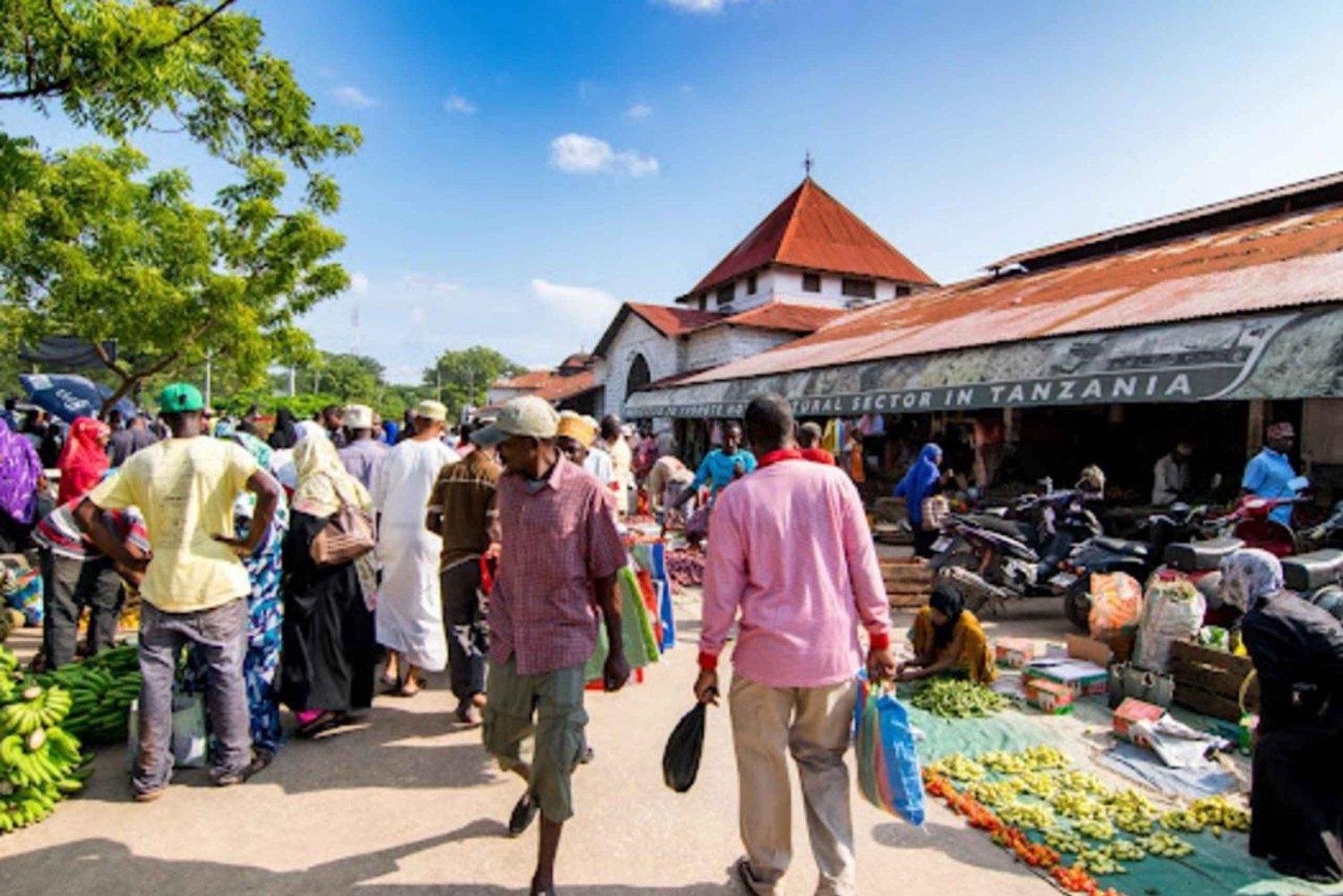 FROM NUNGWI: PRISON ISLAND, STONE TOWN AND SPICE FARM TOUR
