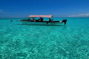 Depuis Nungwi : Safari Blue Tour avec plongée et déjeuner