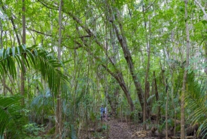 AU DÉPART DE NUNGWI/KENDWA : FORÊT DE JOZANI, ÎLE DE LA PRISON ET VILLE DE PIERRE