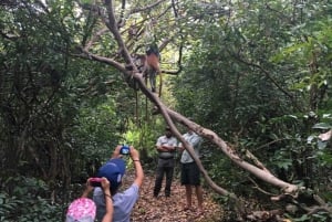 AU DÉPART DE NUNGWI/KENDWA : FORÊT DE JOZANI, ÎLE DE LA PRISON ET VILLE DE PIERRE
