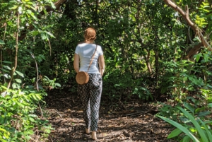 AU DÉPART DE NUNGWI/KENDWA : FORÊT DE JOZANI, ÎLE DE LA PRISON ET VILLE DE PIERRE