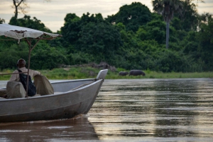 From Nyerere N.P. : Boat Safari on the Rufiji River