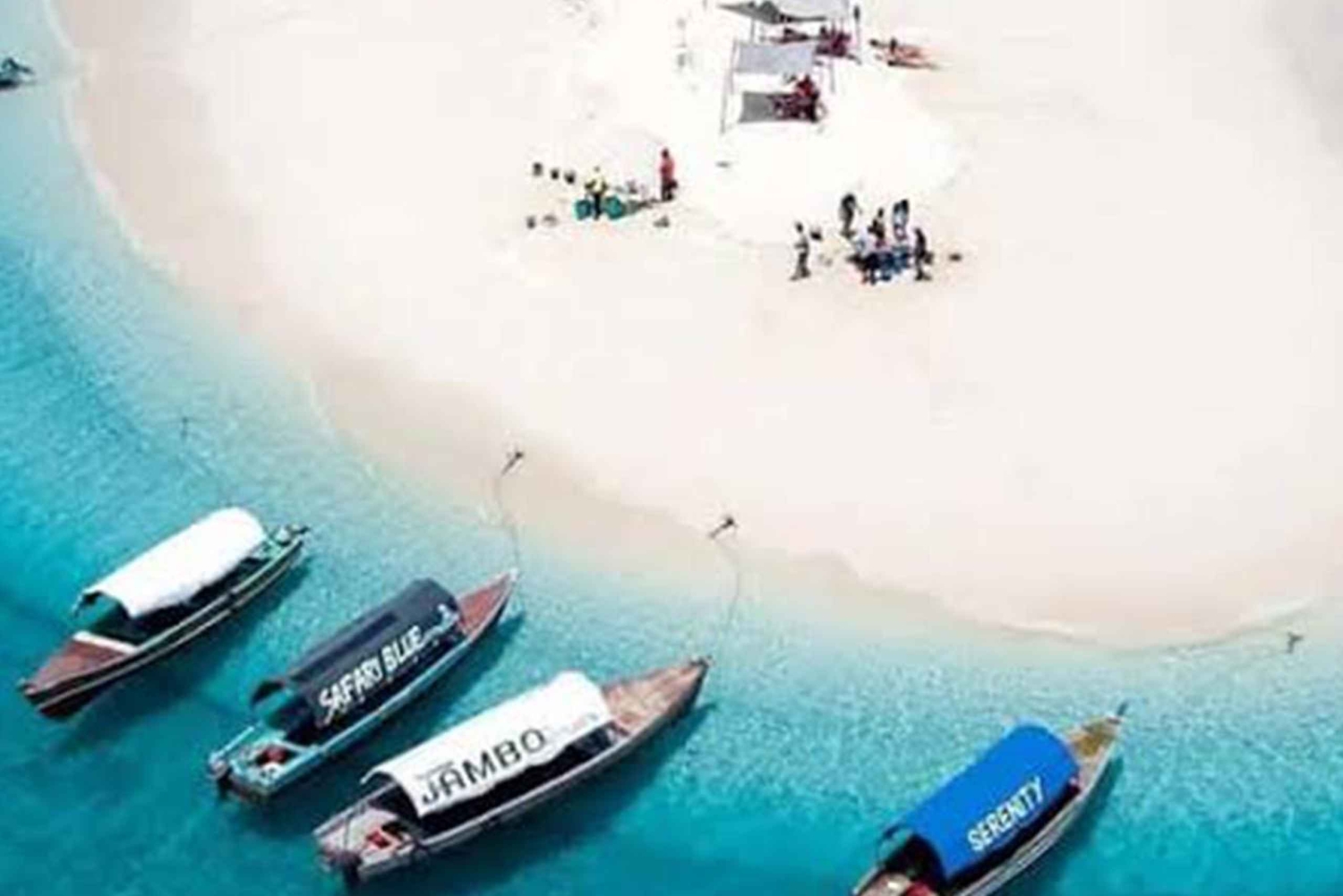 海から食卓へ：ザンジバルのシーフード＆ナクペンダ砂州