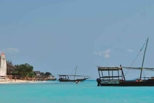 Merestä lautaselle: Zanzibarin merenelävät ja Nakupenda-hiekkasärkkä