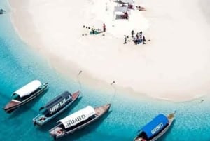 Merestä lautaselle: Zanzibarin merenelävät ja Nakupenda-hiekkasärkkä