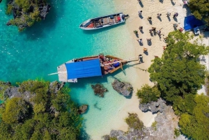 From Paje: Safari Blue Adventure with Snorkeling and Lunch