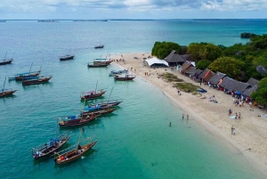 From Paje: Safari Blue Adventure with Snorkeling and Lunch