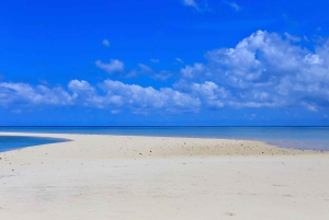 Z Utende: Wycieczka na piaszczystą łachę Marimbani z nurkowaniem i grillem