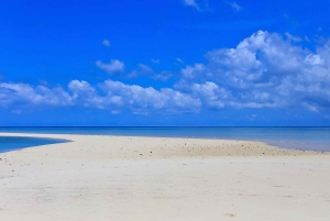 Из Утенде: поездка на песчаную отмель Маримбани с барбекю и сноркелингом