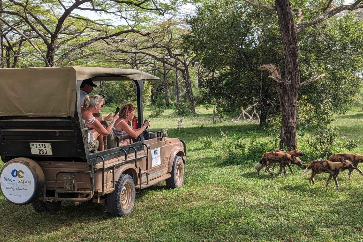 Von Sansibar: 1 Mystery Day Safari mit Transfer