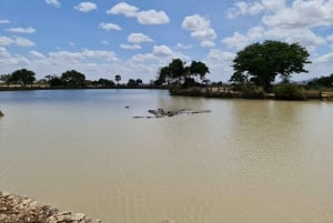 Von Sansibar: 1 Mystery Day Safari mit Transfer