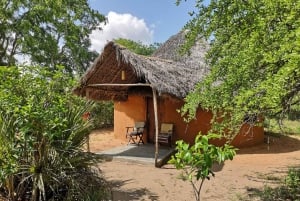 Z Zanzibaru: 2-dniowe, 1-dniowe safari Selous GR z lotami