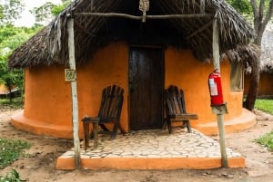 Au départ de Zanzibar : 2 jours 1 nuit Selous GR Safari avec vols