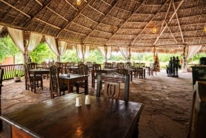 Au départ de Zanzibar : 2 jours 1 nuit Selous GR Safari avec vols