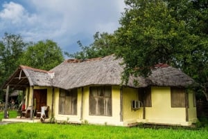 Au départ de Zanzibar : 2 jours 1 nuit Selous GR Safari avec vols