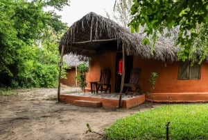 Au départ de Zanzibar : 2 jours 1 nuit Selous GR Safari avec vols