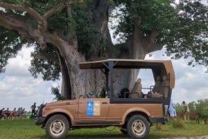 Au départ de Zanzibar : 2 jours 1 nuit Selous GR Safari avec vols