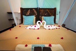 Da Zanzibar: safari di 2 giorni a Mikumi con 2 game drive e volo