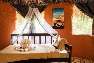 Da Zanzibar: safari di 2 giorni a Mikumi con 2 game drive e volo