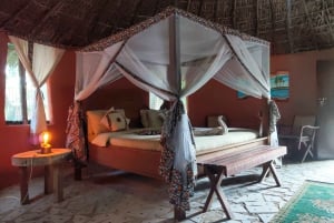 De Zanzibar: 2 dias no Parque Nacional Nyerere/Selous de avião