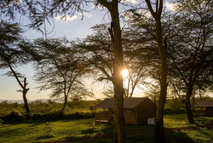 From Zanzibar: 2-Day Private Safari Ngorongoro with Flights