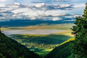 Sansibarilta: 2 päivän yksityinen safari Ngorongorossa lentojen kanssa