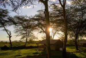 De Zanzibar: Safári particular de 2 dias em Ngorongoro com voos