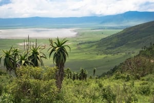 De Zanzibar: Safári particular de 2 dias em Ngorongoro com voos
