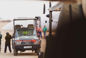 Zanzibarilta: 2 päivän Saadani-safari lennolla ja aterialla