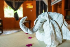 Z Zanzibaru z lotem: 2-dniowe safari w Selous i wycieczka do Masajów