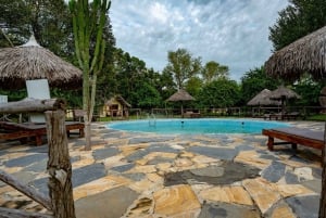 Fra Zanzibar: 2-dages safari i Selous og Maasai-landsby med færge