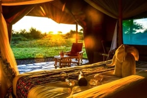 Da Zanzibar: tour safari di 2 giorni nel Serengeti con voli