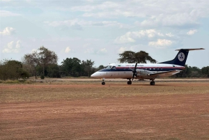 Von Sansibar: 2-tägige Nyerere-Wildtiersafari mit Flug
