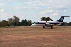 Von Sansibar: 2-tägige Nyerere-Wildtiersafari mit Flug