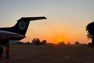 Von Sansibar: 2-tägige Nyerere-Wildtiersafari mit Flug