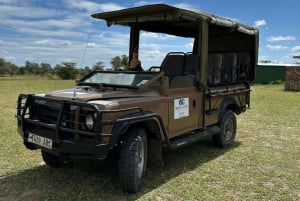 Von Sansibar: 2-tägige Nyerere-Wildtiersafari mit Flug