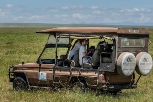 Fra Zanzibar: 2-dagers safaritur i Serengeti-parken med flyreiser