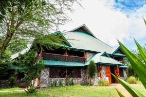 Fra Zanzibar: 2-dagers safaritur i Serengeti-parken med flyreiser