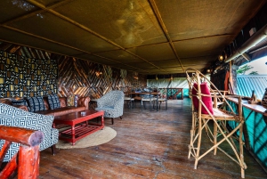 Fra Zanzibar: 2-dagers safaritur i Serengeti-parken med flyreiser