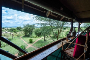 Fra Zanzibar: 2-dagers safaritur i Serengeti-parken med flyreiser