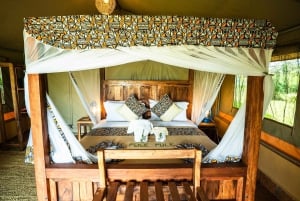 Fra Zanzibar: 2-dagers safaritur i Serengeti-parken med flyreiser