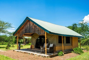 Fra Zanzibar: 2-dagers safaritur i Serengeti-parken med flyreiser