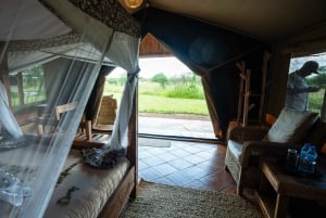 Fra Zanzibar: 2-dagers safaritur i Serengeti-parken med flyreiser