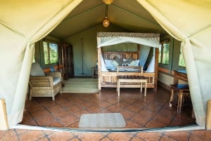 Fra Zanzibar: 2-dagers safaritur i Serengeti-parken med flyreiser