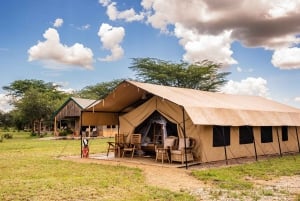 Fra Zanzibar: 2-dagers safaritur i Serengeti-parken med flyreiser